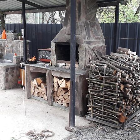 Guesthouse Zaqara Borjomi Ngoại thất bức ảnh