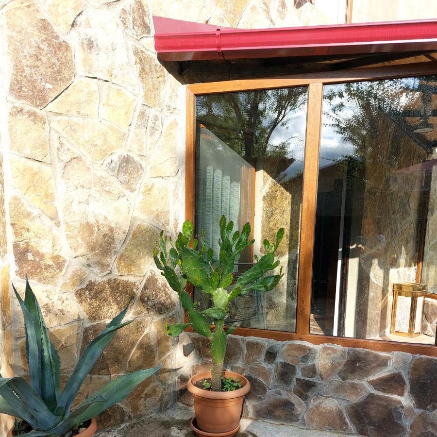 Guesthouse Zaqara Borjomi Ngoại thất bức ảnh