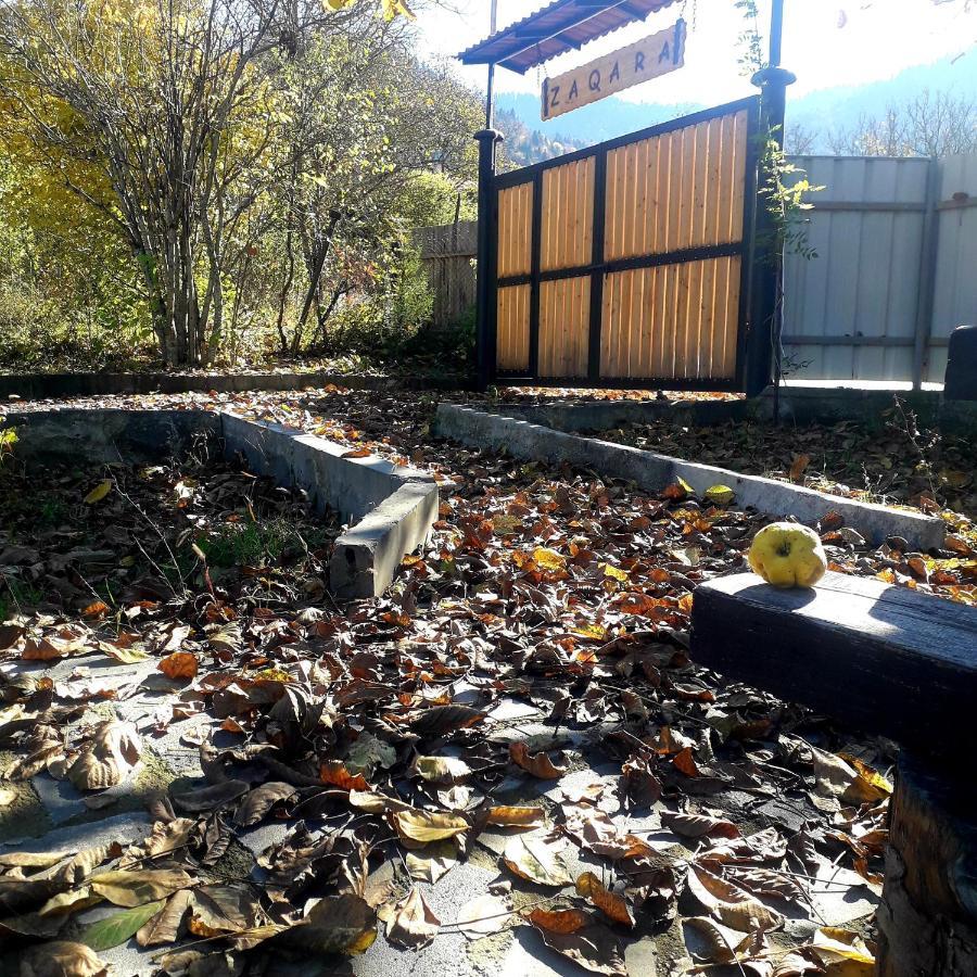 Guesthouse Zaqara Borjomi Ngoại thất bức ảnh
