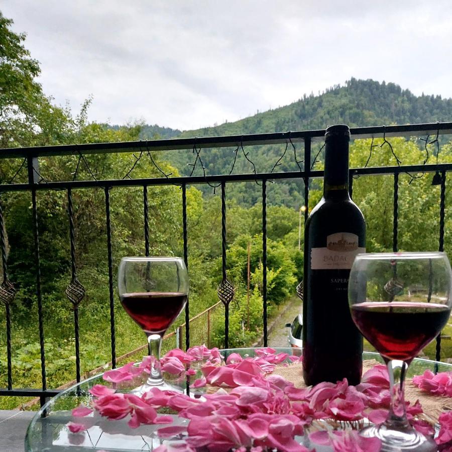 Guesthouse Zaqara Borjomi Ngoại thất bức ảnh