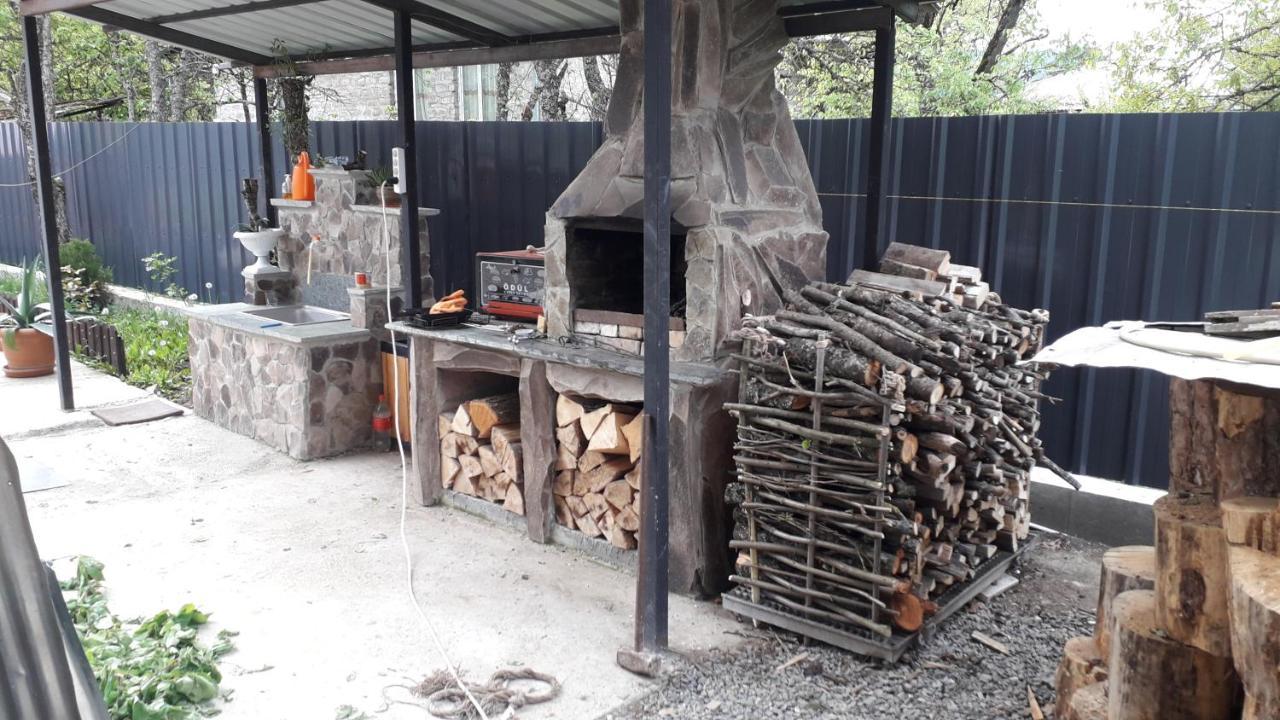 Guesthouse Zaqara Borjomi Ngoại thất bức ảnh