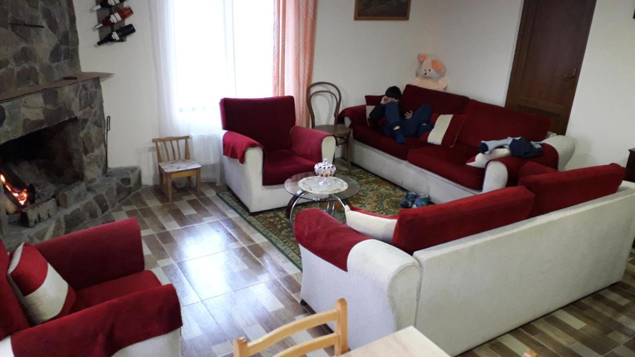 Guesthouse Zaqara Borjomi Ngoại thất bức ảnh