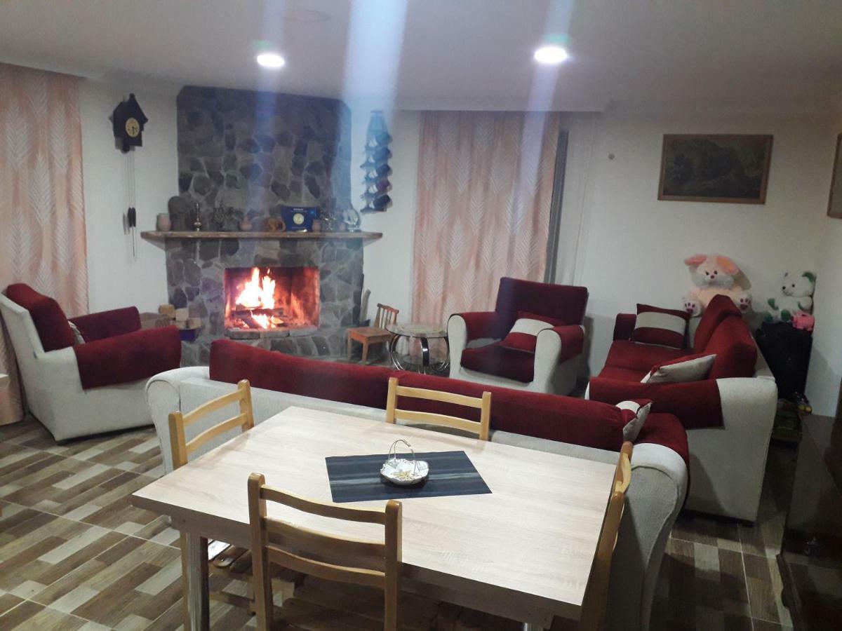 Guesthouse Zaqara Borjomi Ngoại thất bức ảnh