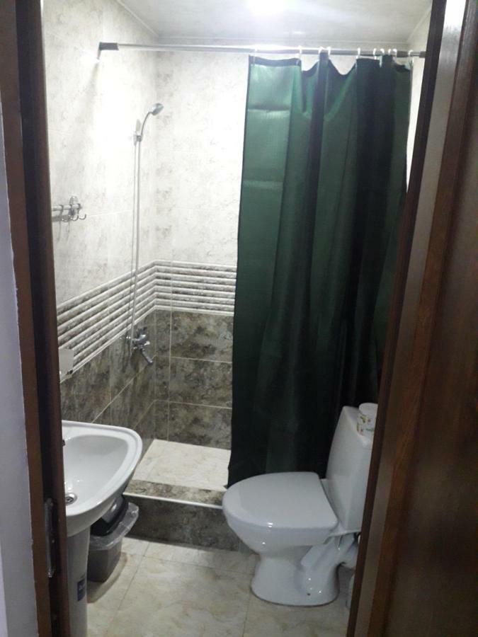 Guesthouse Zaqara Borjomi Ngoại thất bức ảnh