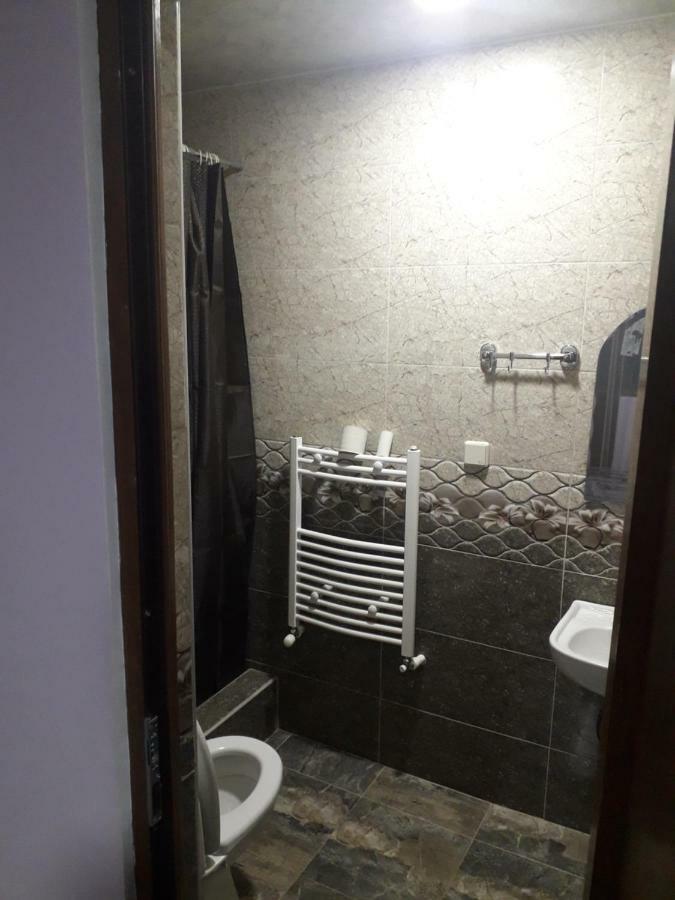 Guesthouse Zaqara Borjomi Ngoại thất bức ảnh