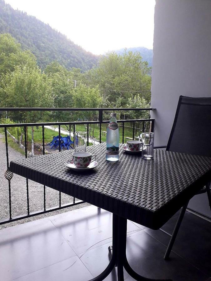 Guesthouse Zaqara Borjomi Ngoại thất bức ảnh